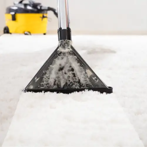 Professionelle Teppichreinigung Service