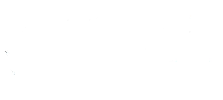 ENSA-Teppichreinigungs-Logo